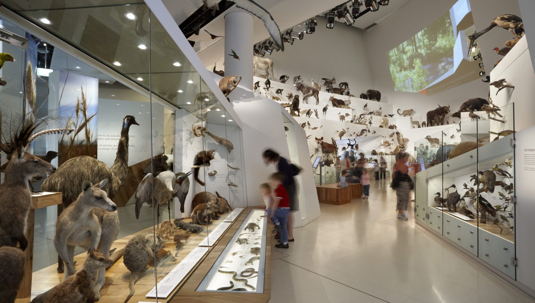 Melbourne Museum Family Friendly Accommodation