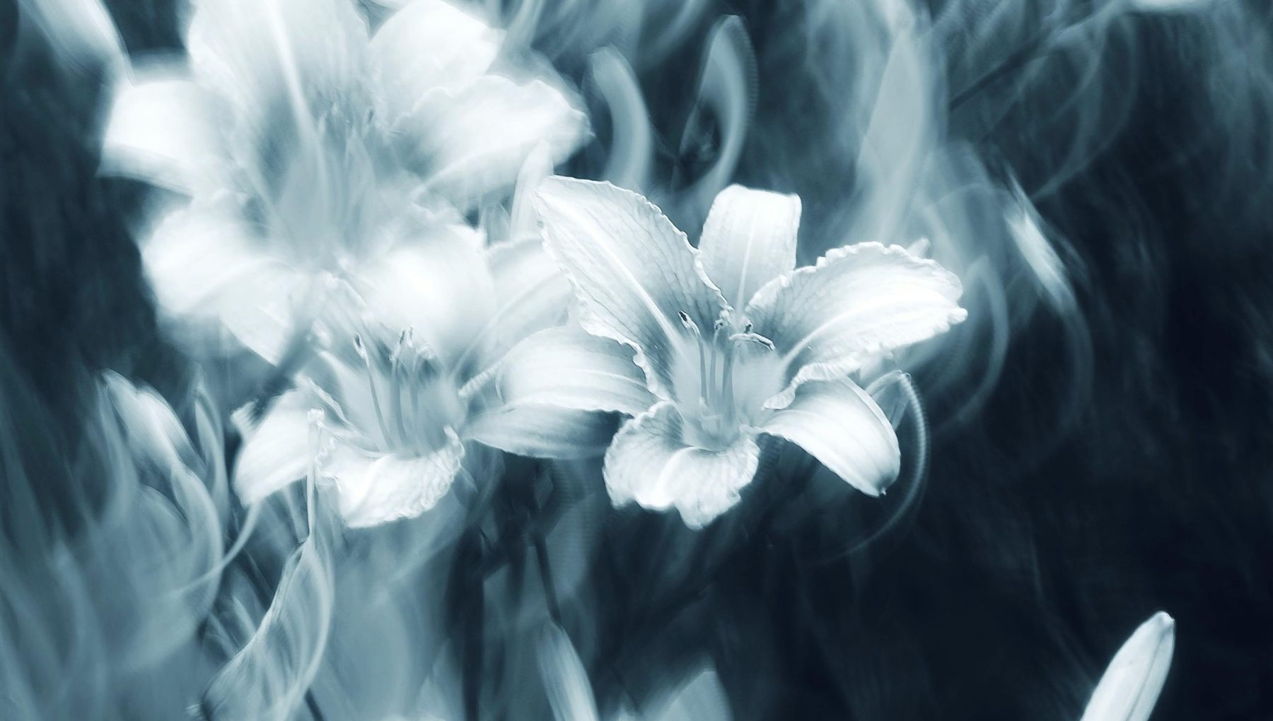 A Wake to farewell a loved one…