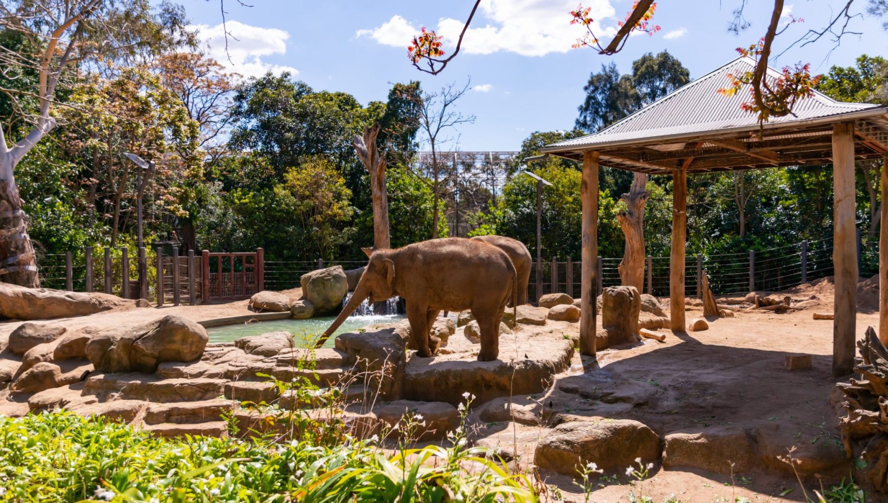 Melbourne Zoo