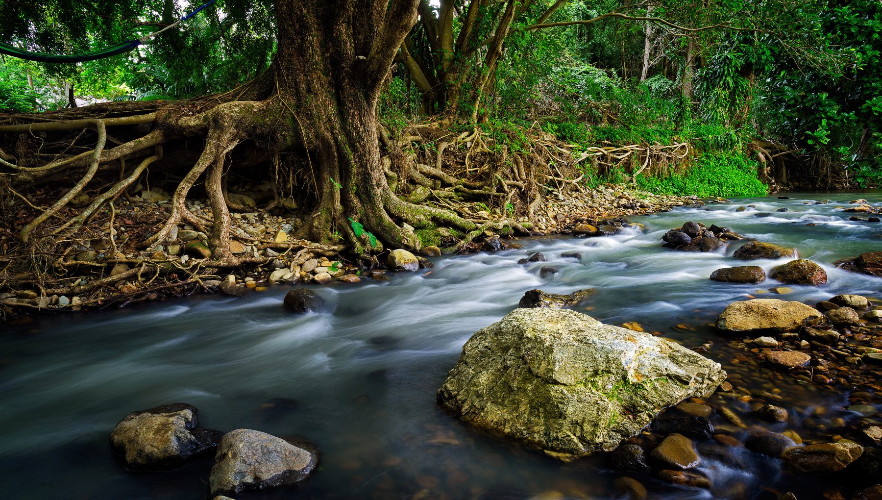Creek Currumbin Rock Pools