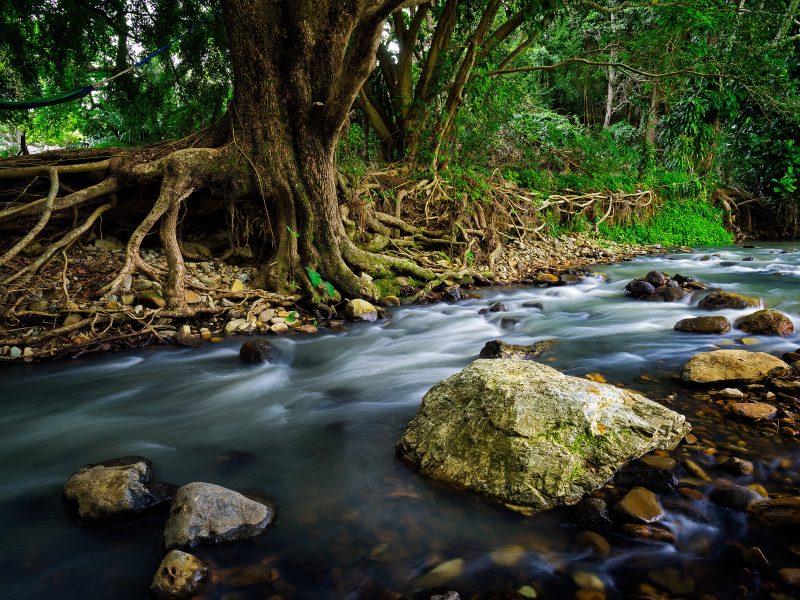 Creek Currumbin Rock Pools