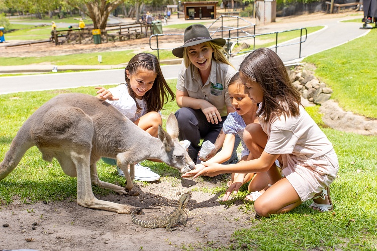 Rydges Wildlife Package